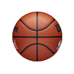 Wilson Jr. NBA Family Indoor/Outdoor Basketball