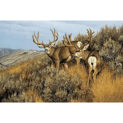 Reflective Art Low Country Mulies Canvas Art