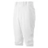 Mizuno Premier Short Pant - Youth -ball game 361420 800 auto