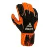 Select Protec V20 Goalkeeper Glove